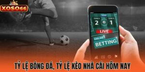 tỷ lệ bóng đá, tỷ lệ kèo nhà cái hôm nay